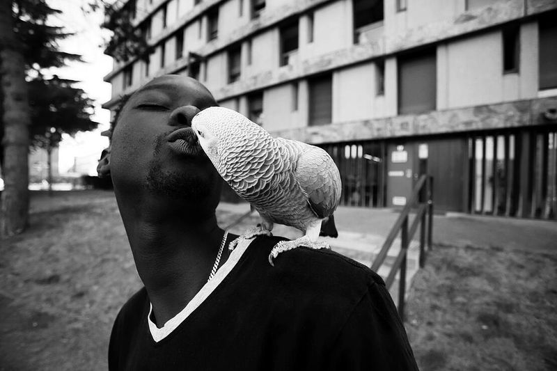 ©  Jean-Michel Landon