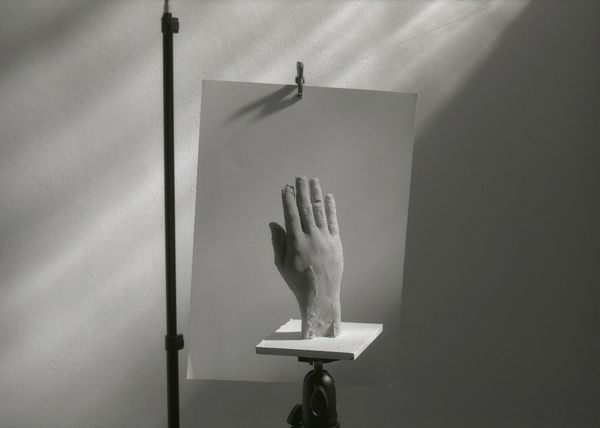 © Angelo Vignali