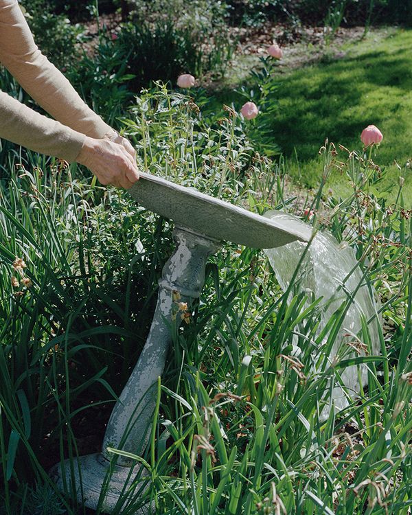 © Linda Moses