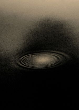 AAP Magazine – Nature
