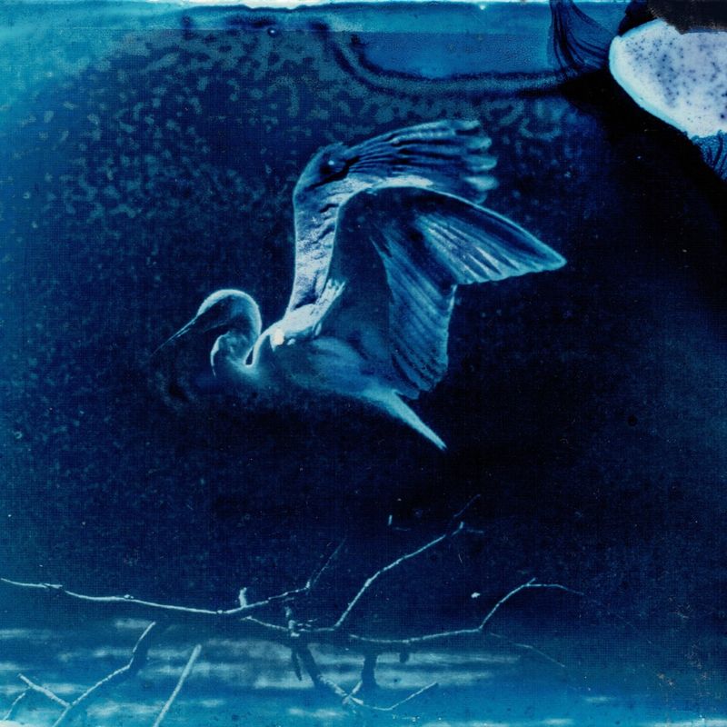 © Kimberly Halyburton