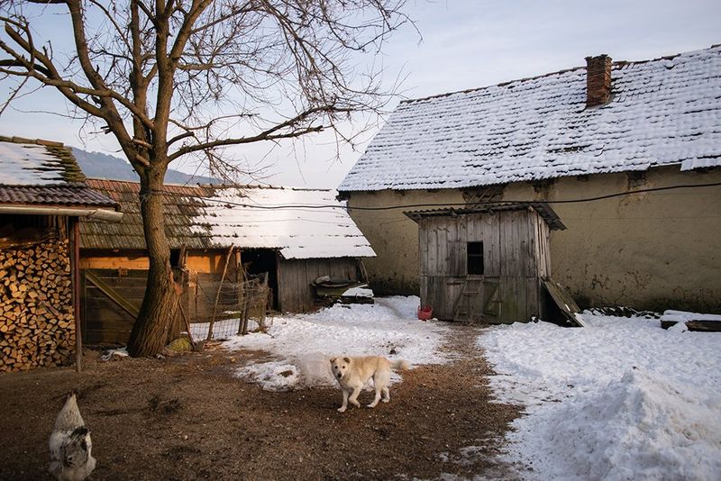 © Alexandra Corcode