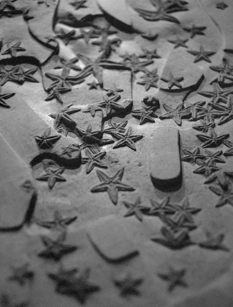 © Benedetta Casagrande