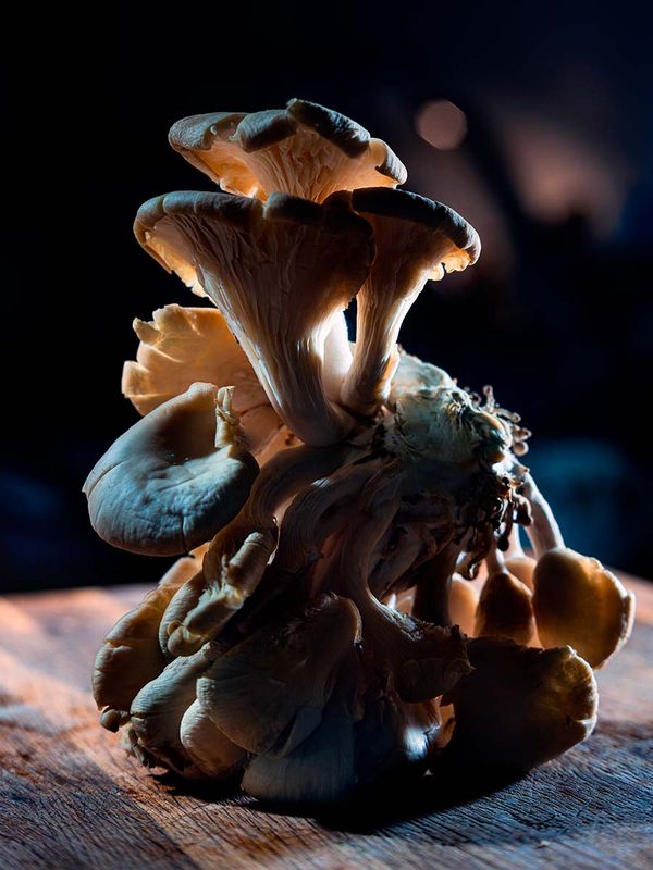 © David Bakarić Mihaljević