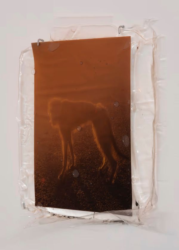 © Gedvilė Tamošiūnaitė