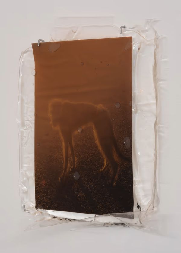 © Gedvilė Tamošiūnaitė