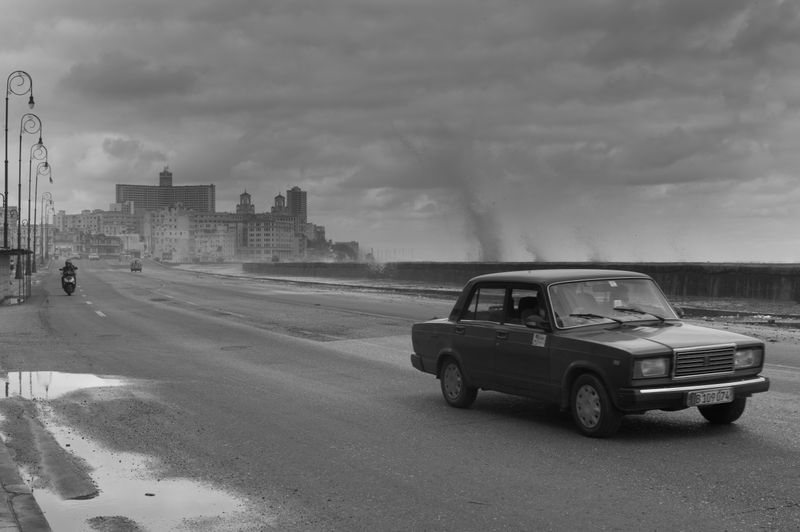 © Adriana Ferrarese