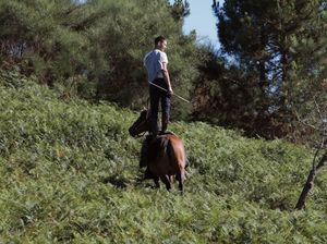 Between Bridges Residency For Visual Artists 2026