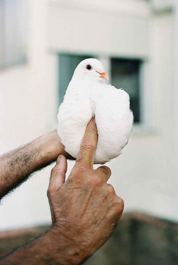 © Malu Reigal