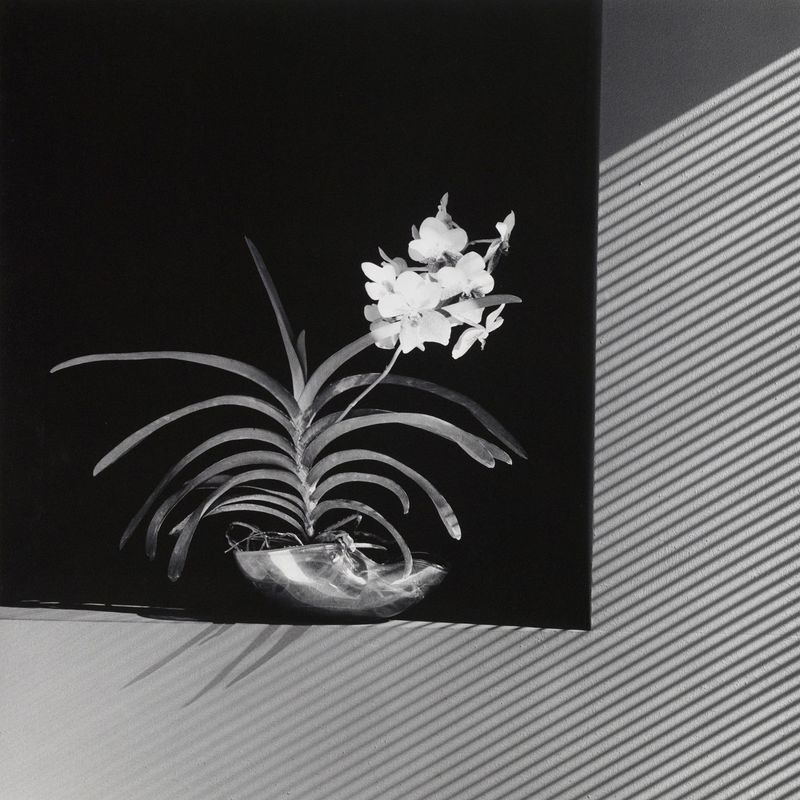 © Robert Mapplethorpe