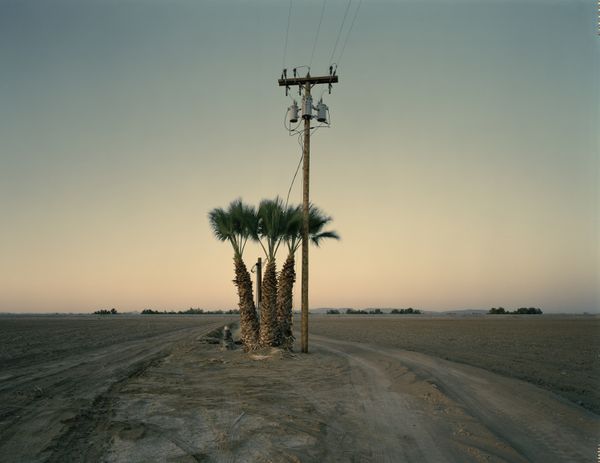 © Buck Holzemer