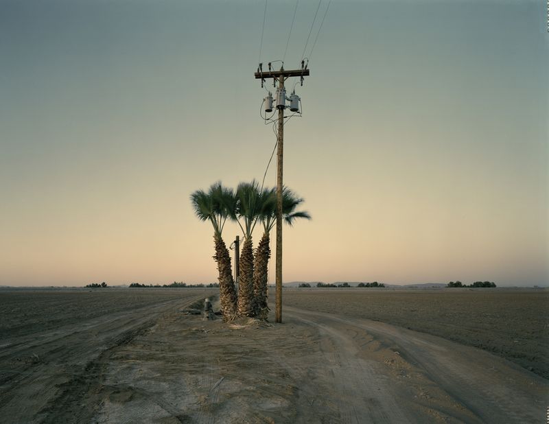 © Buck Holzemer