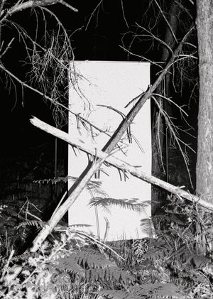 Polycopies & Co. Grant 2025