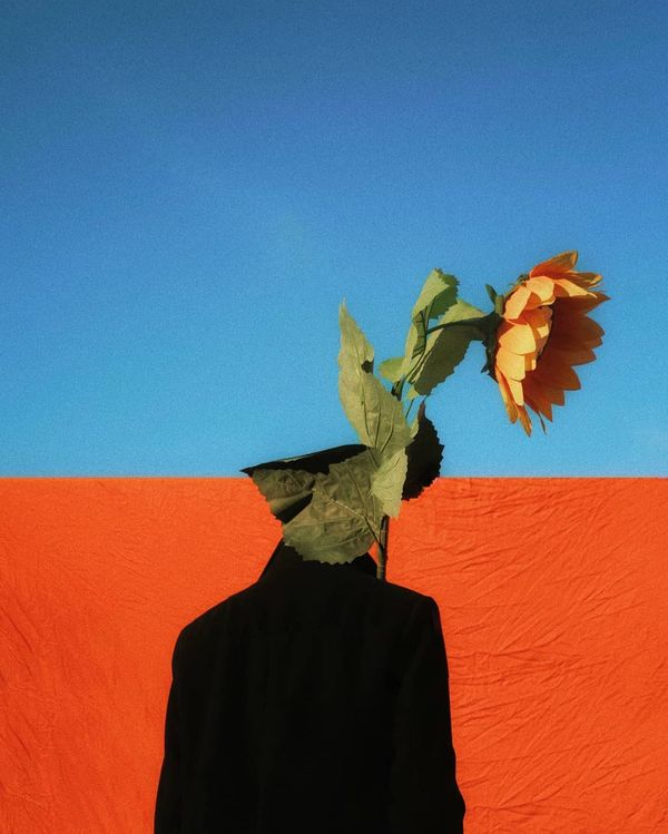 © Anass Ouaziz