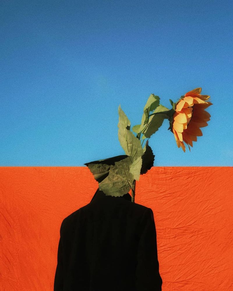 © Anass Ouaziz