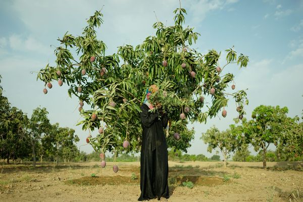© Amira Al-Sharif