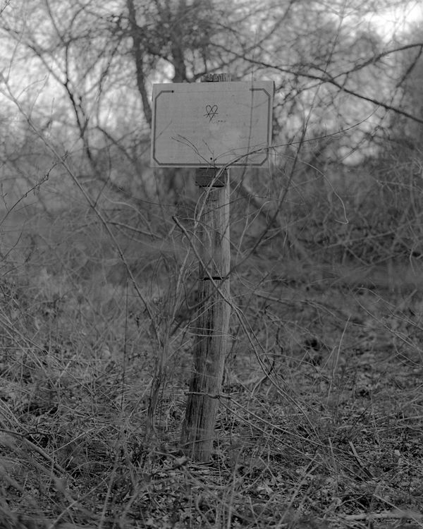 © Leon Nevill Gallagher