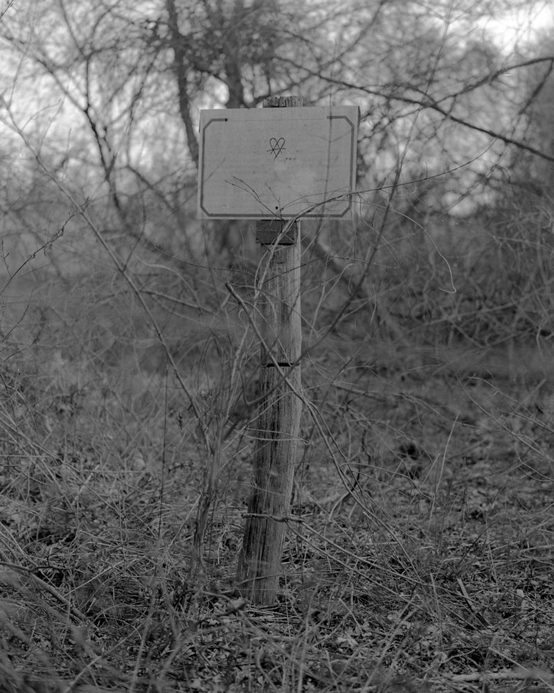 © Leon Nevill Gallagher