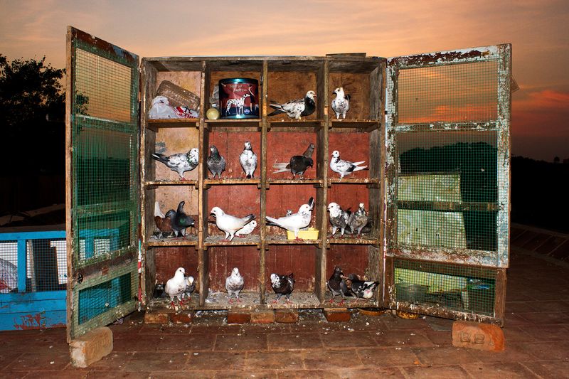 © Arun Vijai Mathavan