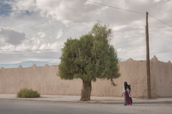 © M. Peter Ydeen