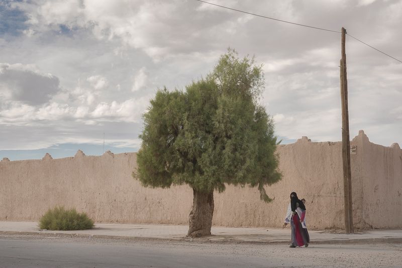 © M. Peter Ydeen