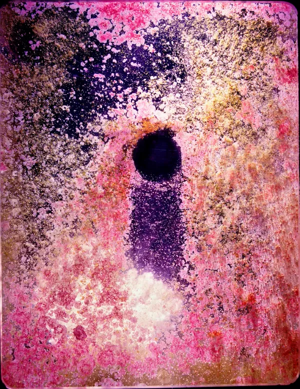 © Taiyo Onorato and Nico Krebs