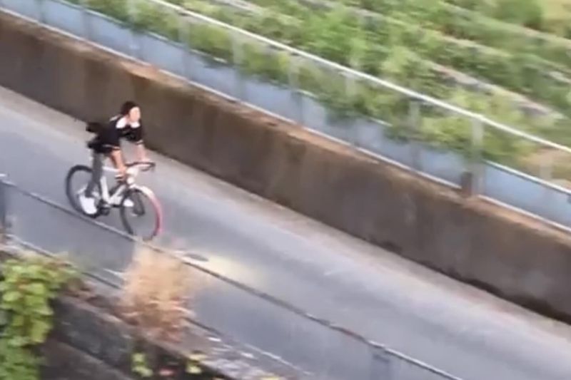 © Cintia Tortosa Santisteban