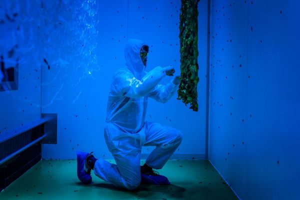 © Luigi Avantaggiato