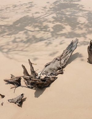 São Paulo Photography Festival 2026 Open Call