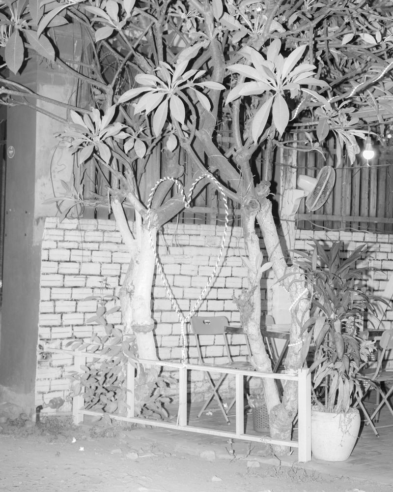 © Lê Nguyên Phương