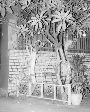 FOTO Bali Festival 2026 Open Call