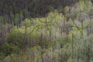 AAP Magazine – Nature