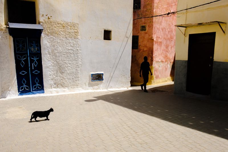 © Giancarlo Zuccarone