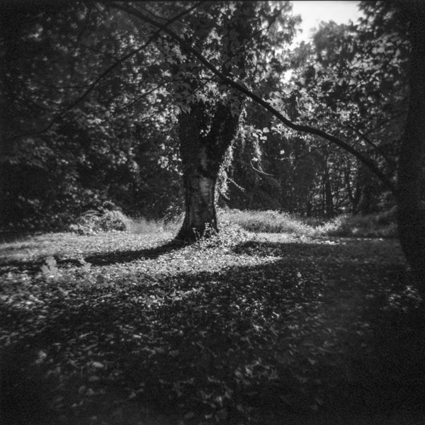 © Clarice Barbatodunn