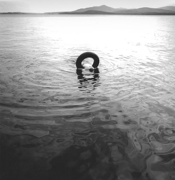© Terry Wild