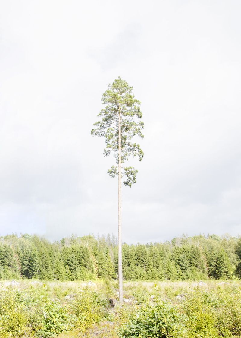 © Lena Buehler