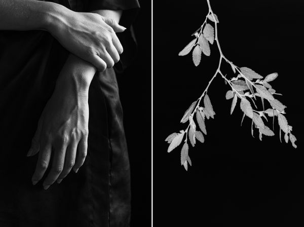 © Paula Aranoa