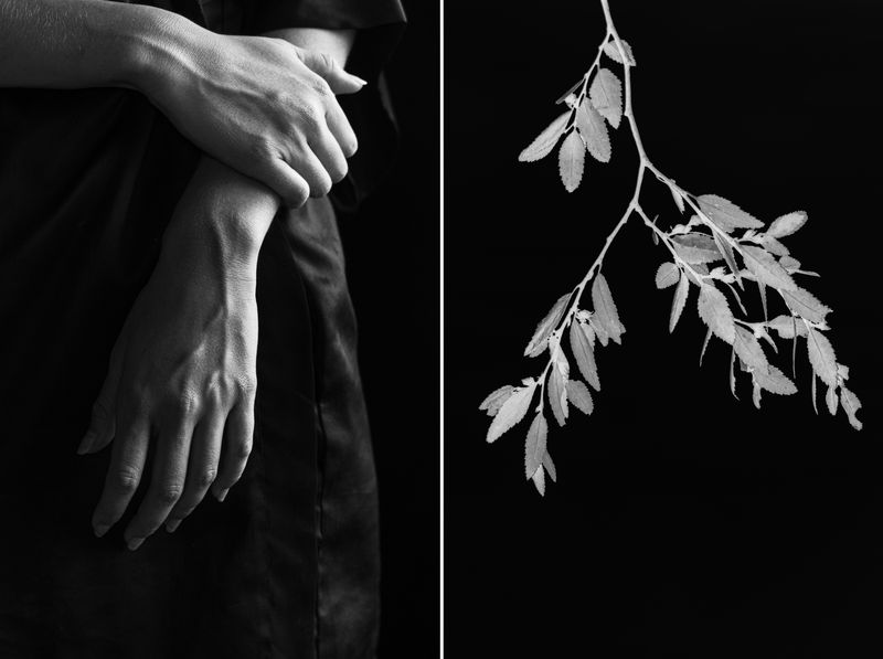 © Paula Aranoa