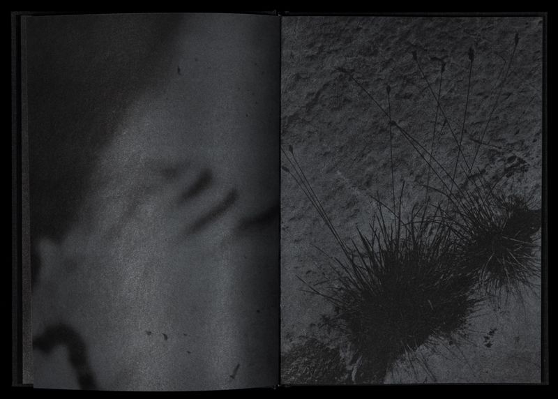 © Magdalena Wysocka and Claudio Pogo