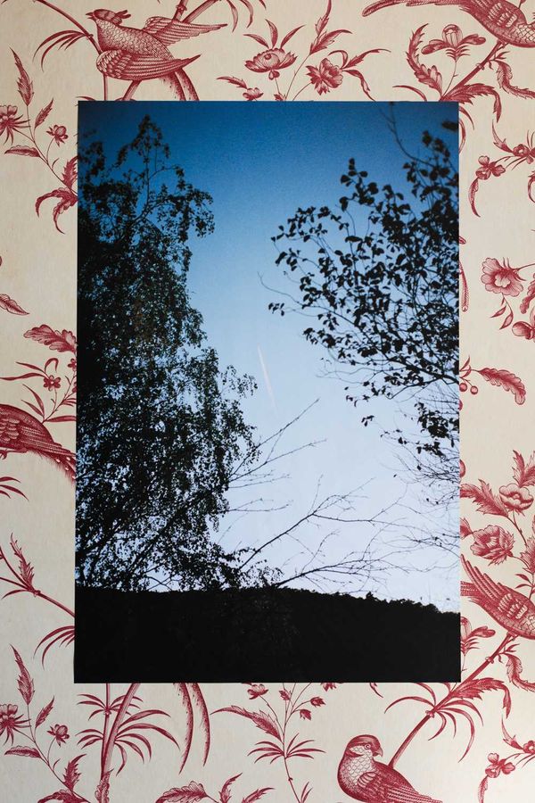 © Rebecca Bowring