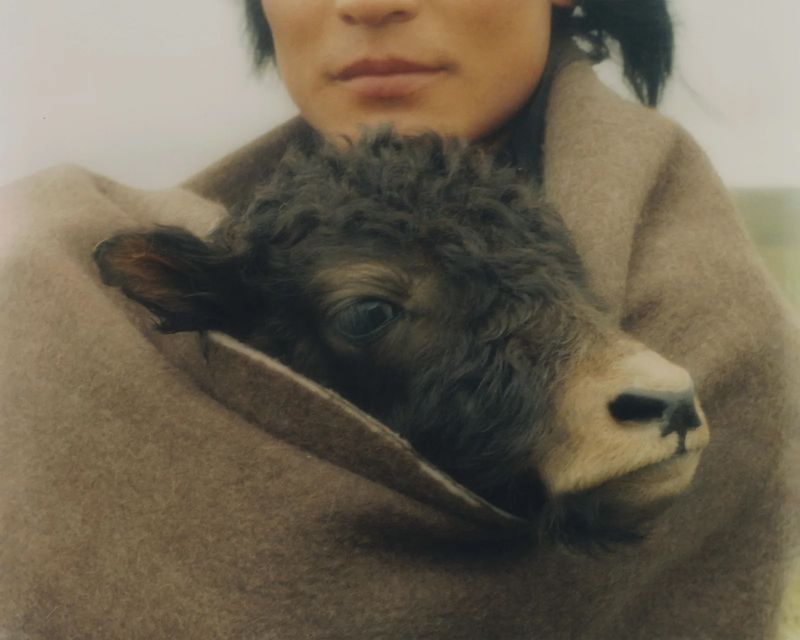 © Kin Chan Coedel