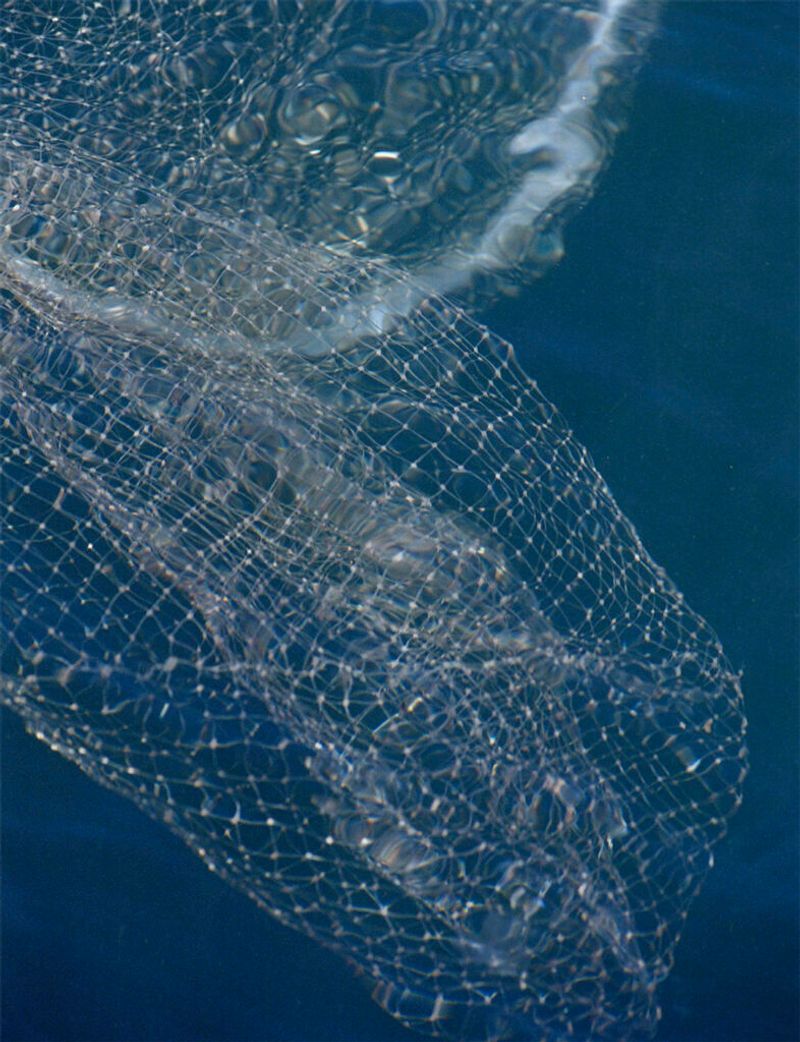 © Aliki Christoforou