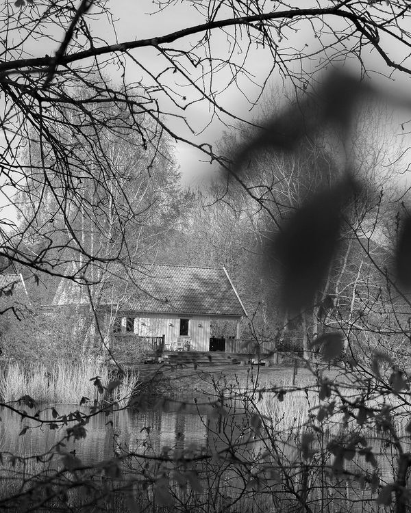 © Sharon Castellanos