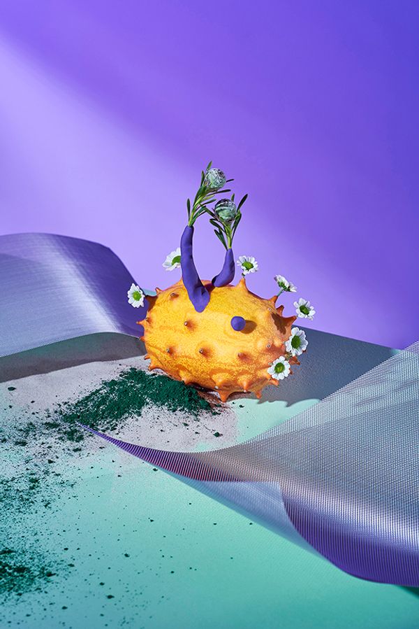© Zane Priede