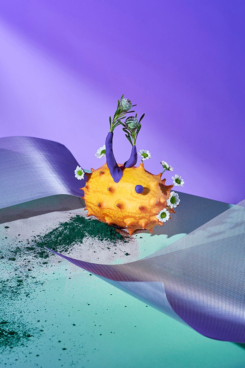 © Zane Priede