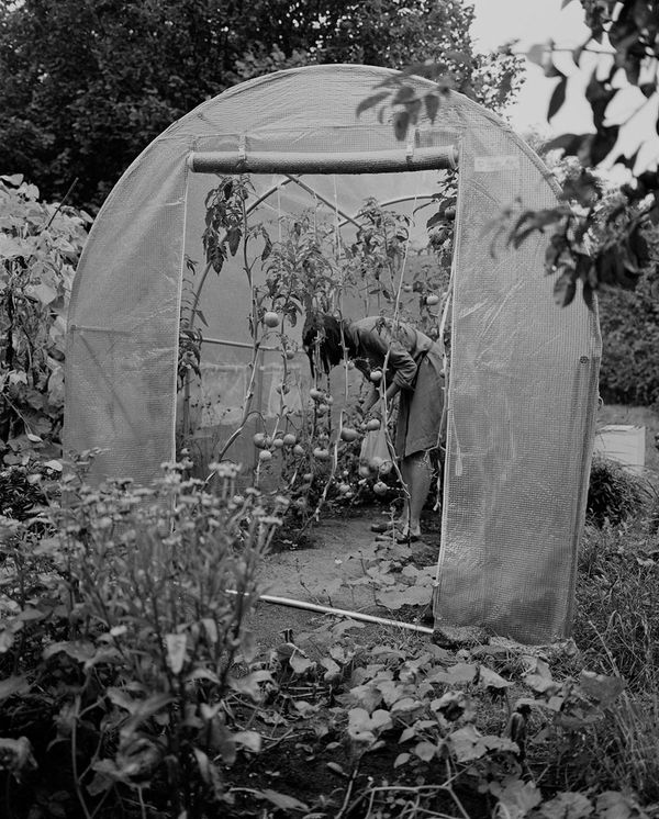 © Monika Orpik