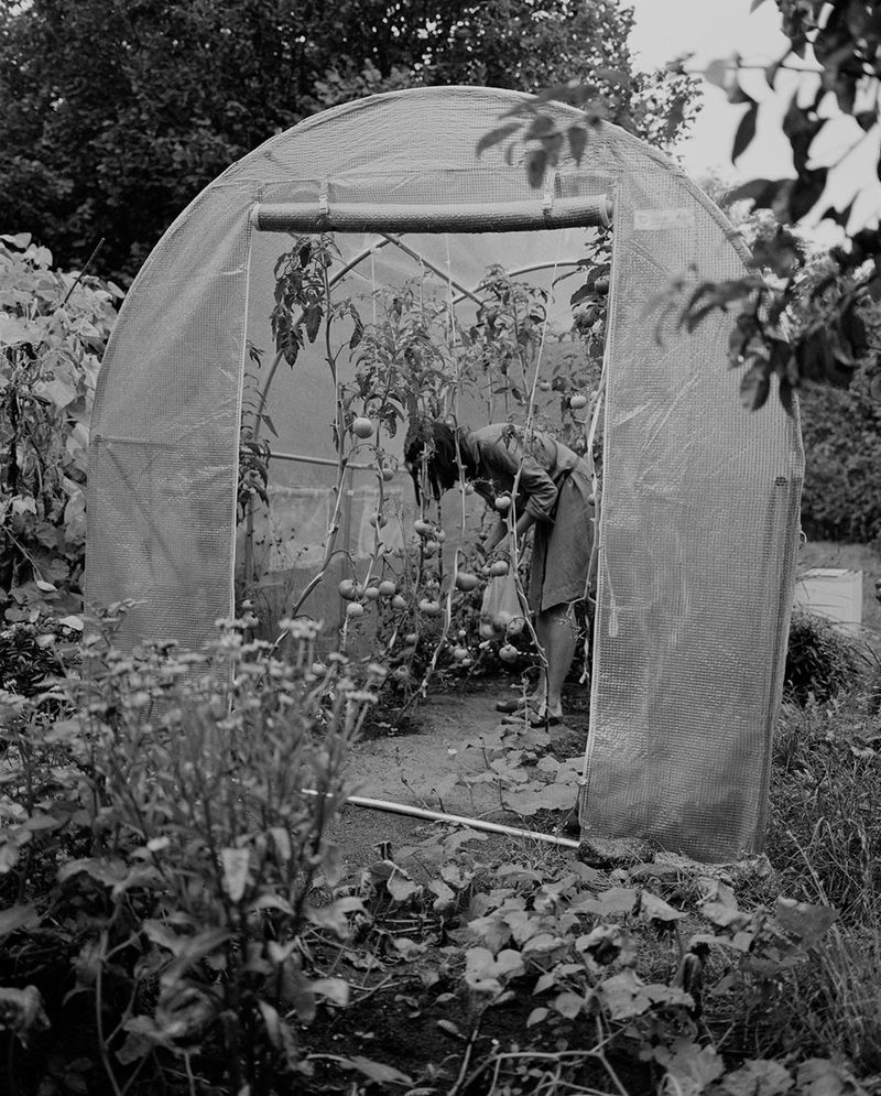 © Monika Orpik