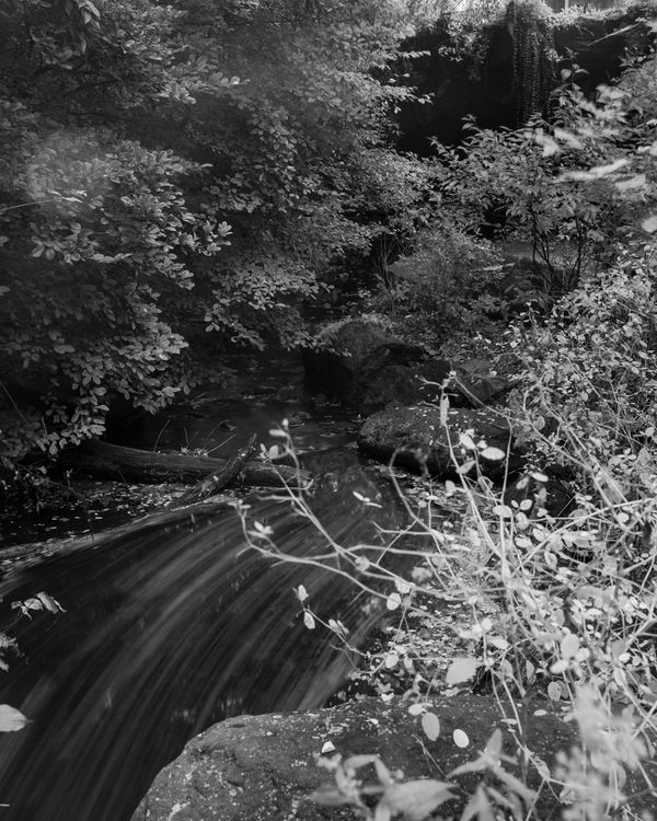 © Donavon Smallwood