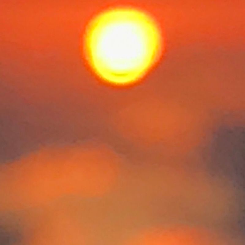 CRITICAE 2025/26 image