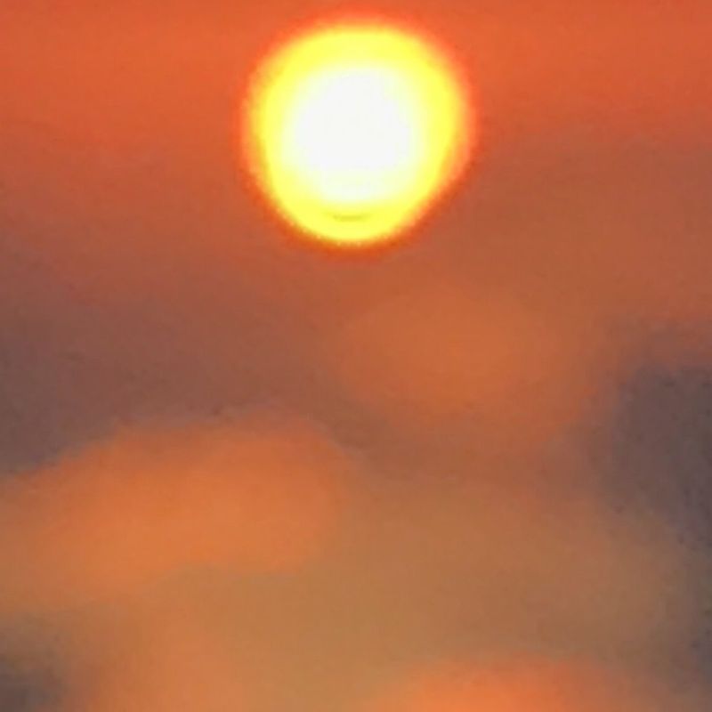 CRITICAE 2025/26 image